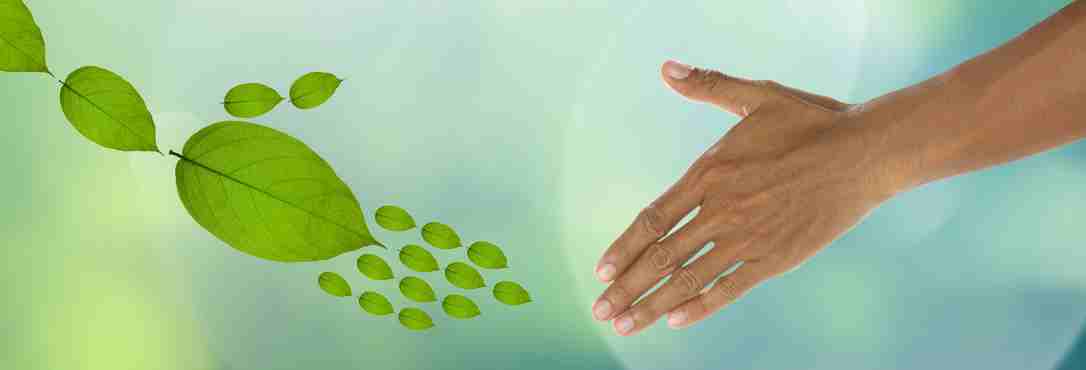 Eco-friendly venues